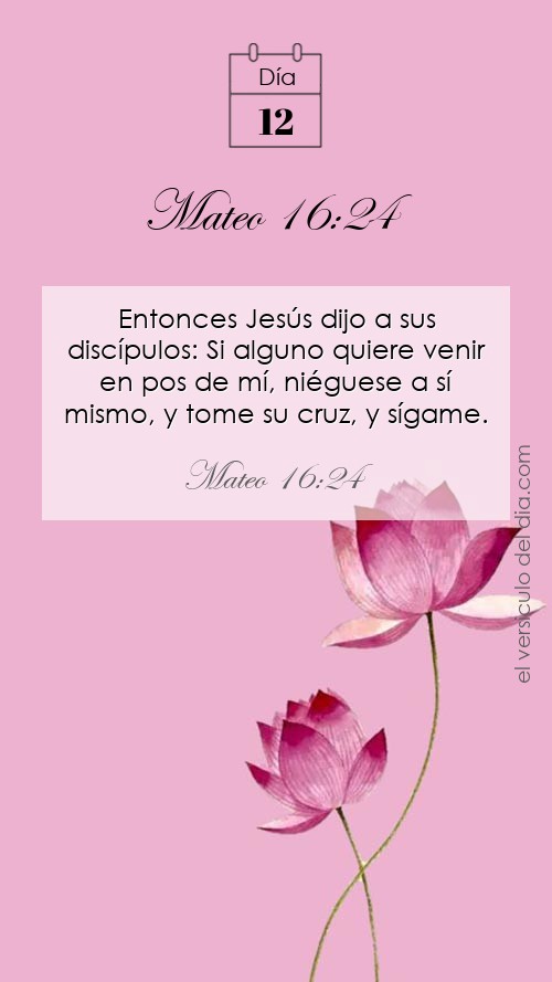 Mateo 16:24